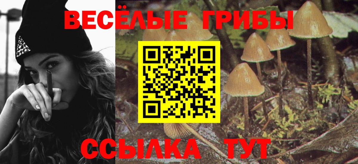Галлюциногенные грибы мухоморы  Вход с VPN  Тольятти  Галлюциногенные грибы MAGIC MUSHROOMS 